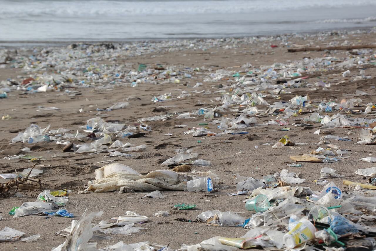 zanieczyszczona odpadami plaża