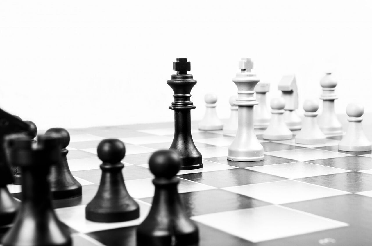 kariera zawodowa a strategia jej rozwoju - szachy