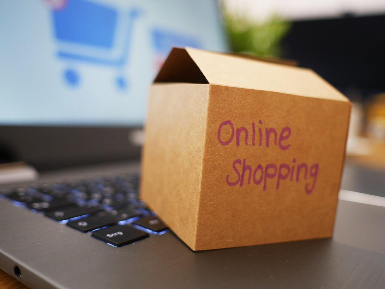 Robienie zakupów online