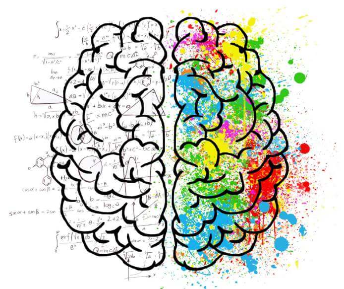 dwa oblicza myślenia przedstawione na ilustracji ludzkiego mózgu